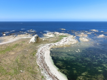 kaikoura (23)
